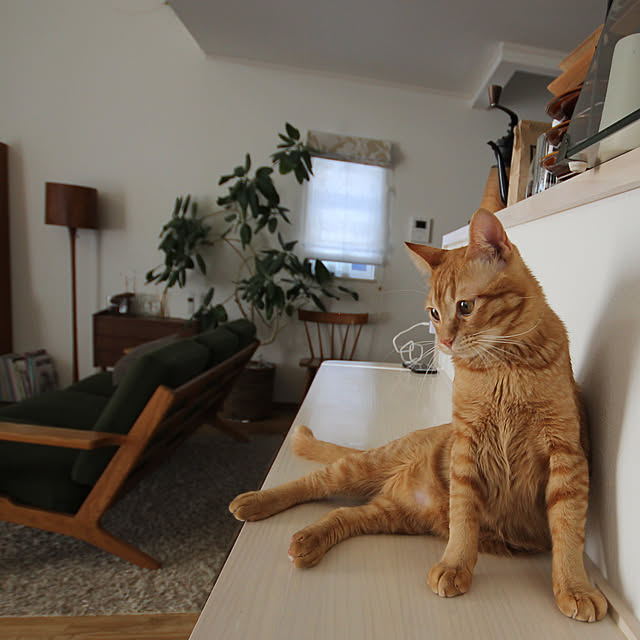 Hisashiさんの実例写真