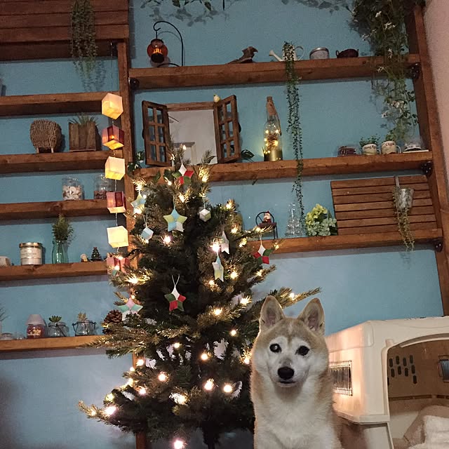 myonghaeさんの実例写真