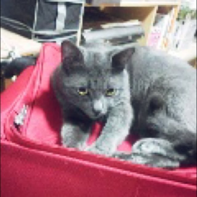 poppoさんの実例写真