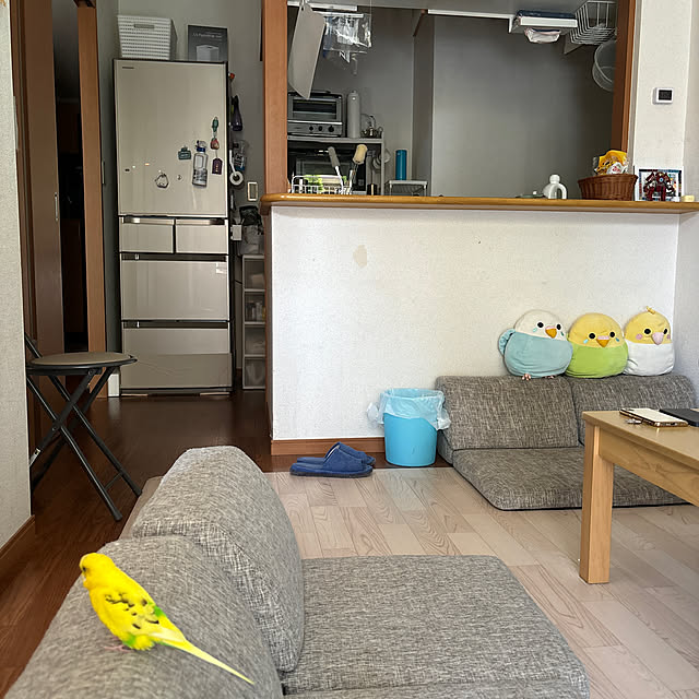 chappさんの実例写真