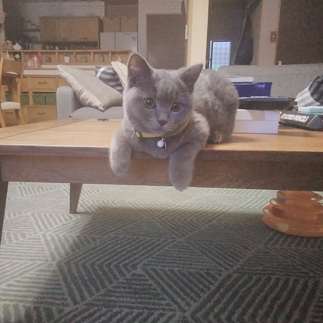 WAKKOさんの実例写真