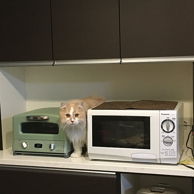 reomewさんの実例写真