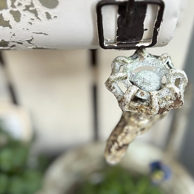 Kuniさんの実例写真