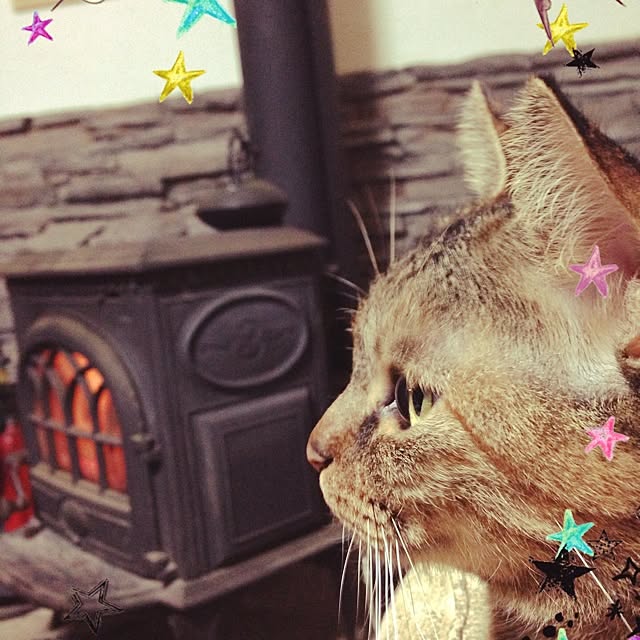 piroriさんの実例写真