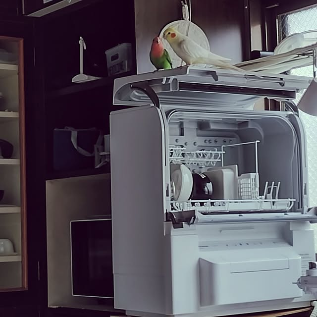 toratanさんの実例写真