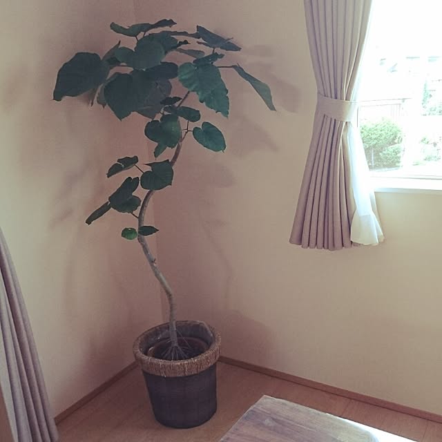 gakkoさんの実例写真