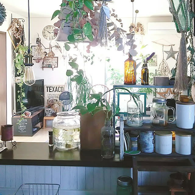 キッチン/植物のある暮らし/キッチンカウンター/NO GREEN NO LIFE/DIY...などのインテリア実例 - 2018-11-26 15:31:18