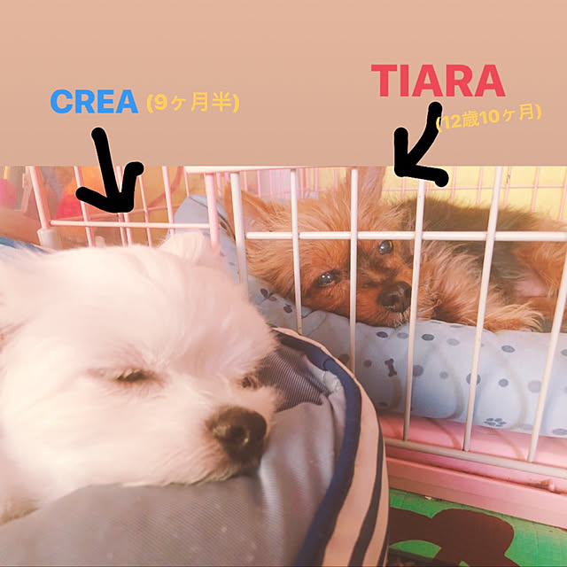 TAACO81さんの実例写真