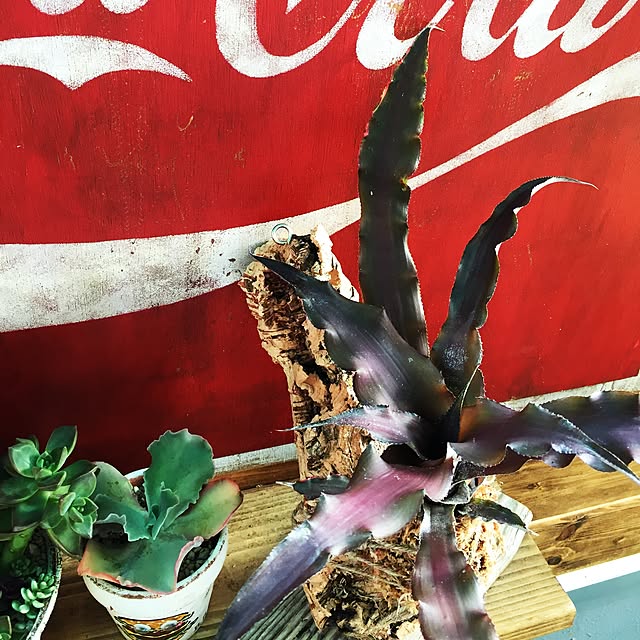 405.mさんの実例写真