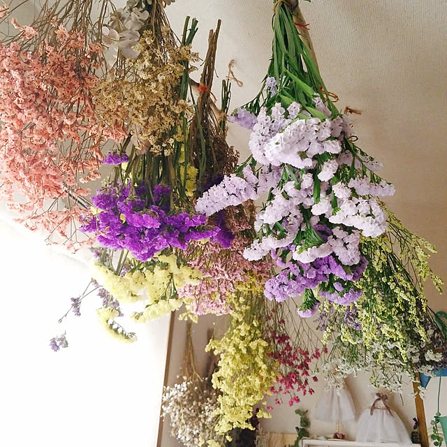 haruさんの実例写真
