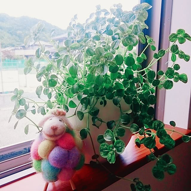 実例写真