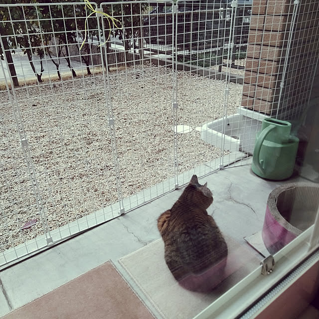 lilyさんの実例写真