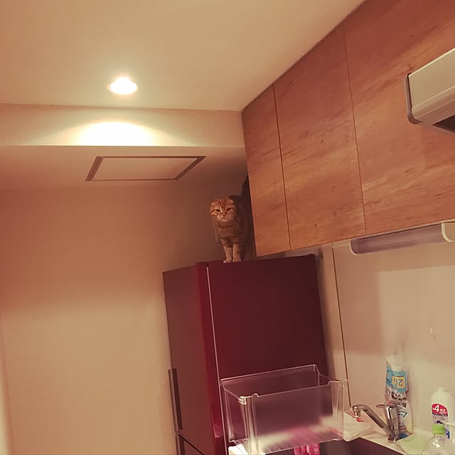 randebuさんの実例写真