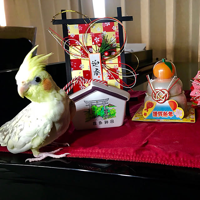 bitzchaさんの実例写真