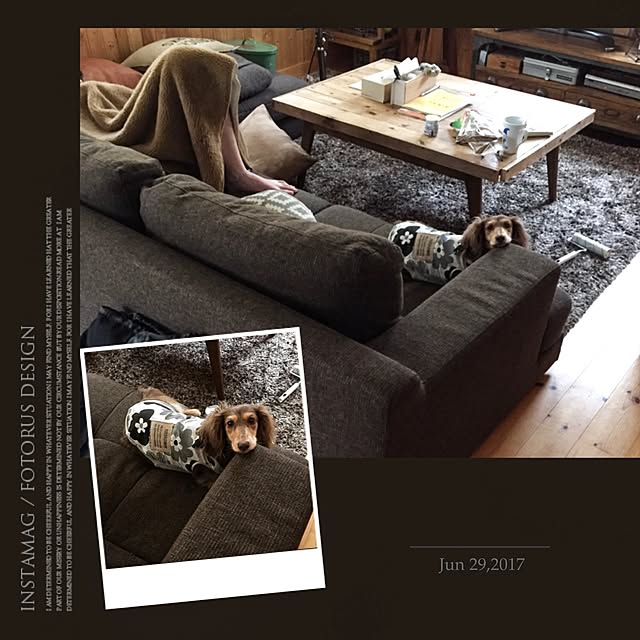 yupponさんの実例写真