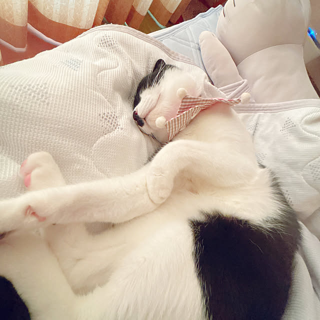 moolさんの部屋