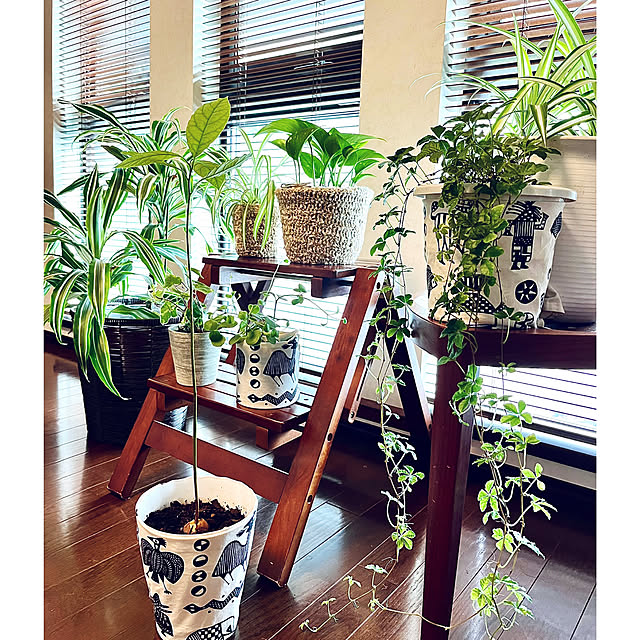 NAOさんの部屋
