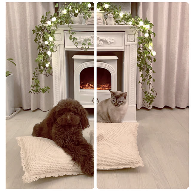 noelさんの実例写真