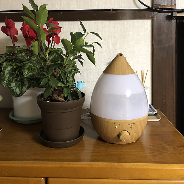 hi-さんの実例写真