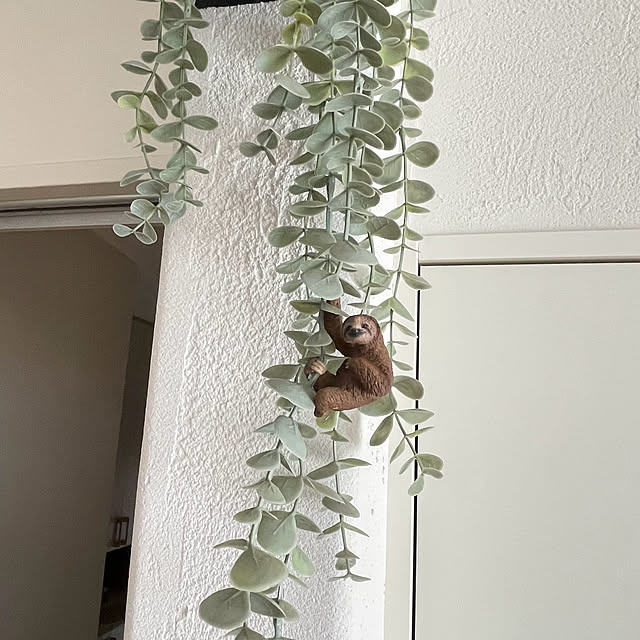 adamoさんの部屋