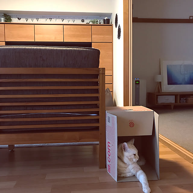hiyupan88さんの実例写真