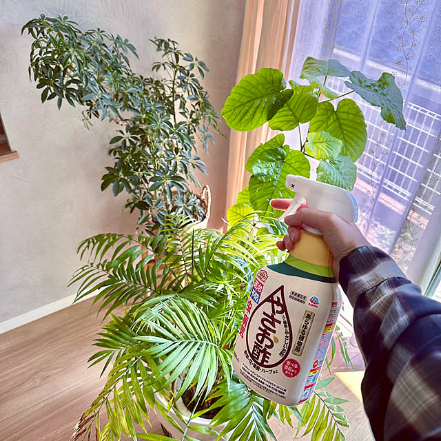 hachiさんの実例写真