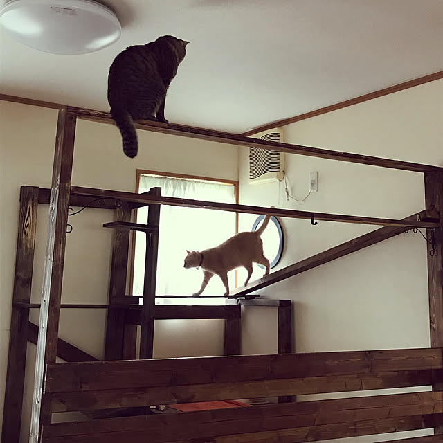 mikan161さんの実例写真