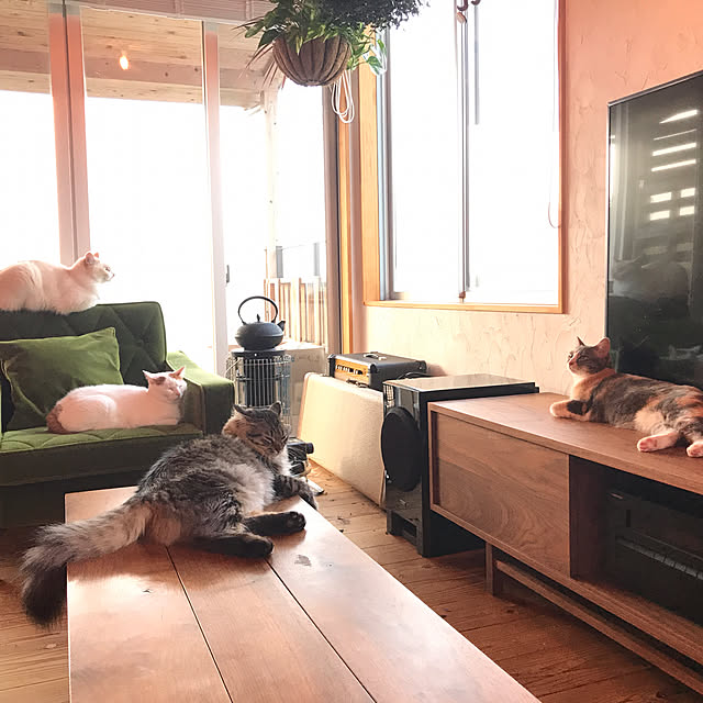 sakurasakuさんの実例写真
