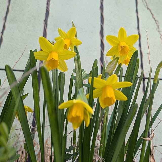 Rさんの実例写真