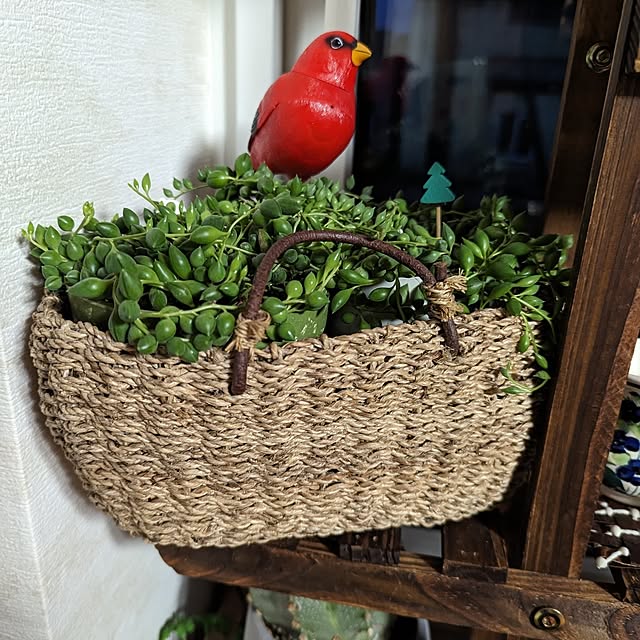 sora3さんの部屋