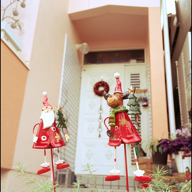 soraさんの実例写真
