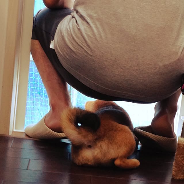 hanakoさんの実例写真