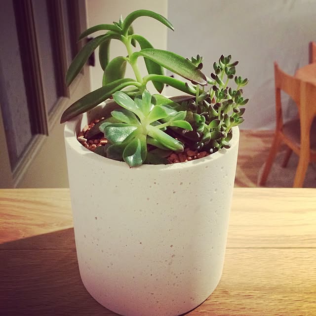T.A.aさんの実例写真