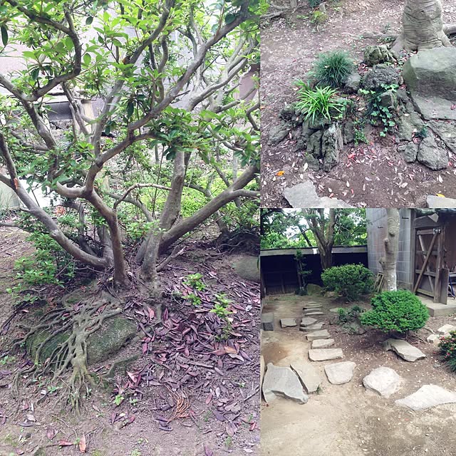 部屋全体のインテリア実例 - 2017-06-04 15:47:04