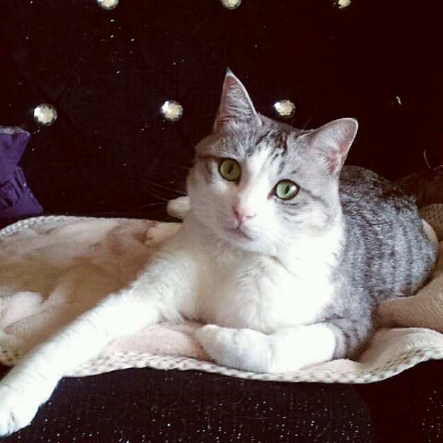emmyyさんの実例写真