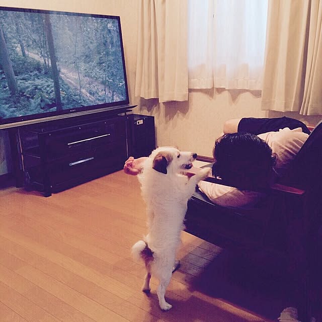 natsminnnnnさんの実例写真