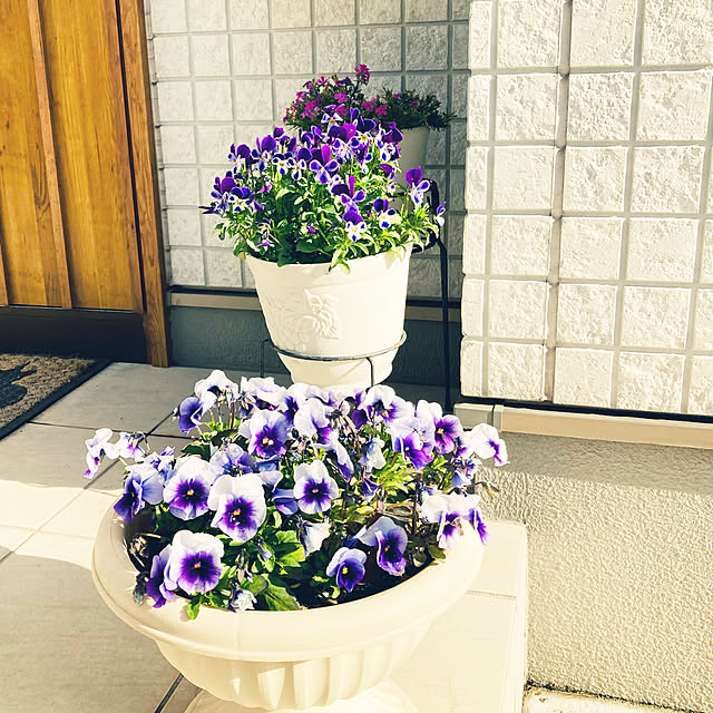 minminさんの実例写真