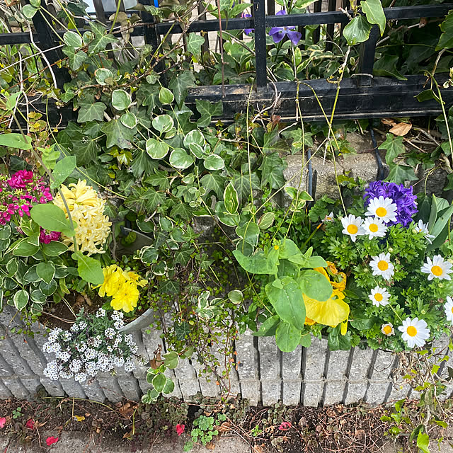 kimiさんの実例写真