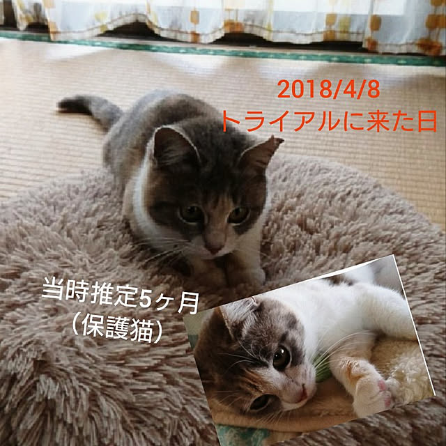 fukuさんの実例写真