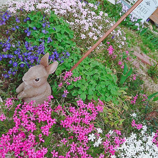 Midoriさんの実例写真