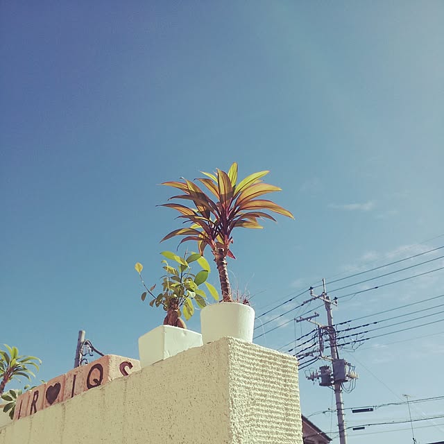 tomoさんの実例写真