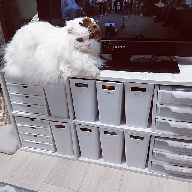 muuさんの実例写真