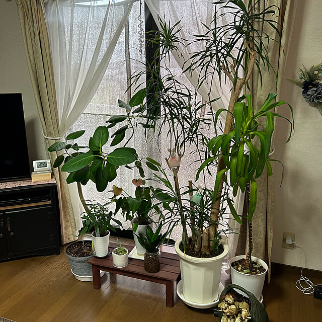 ritsukoさんの部屋