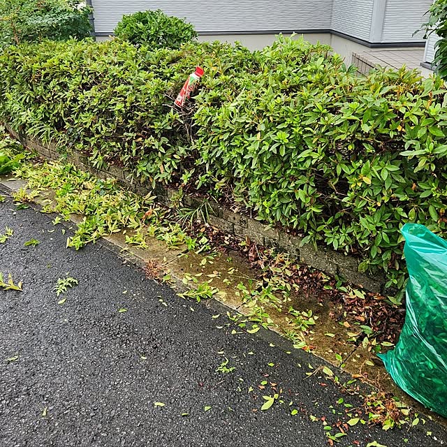 Mizubasyoさんの部屋
