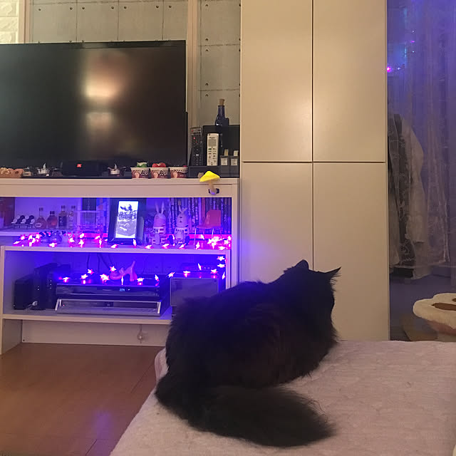 kanaさんの実例写真