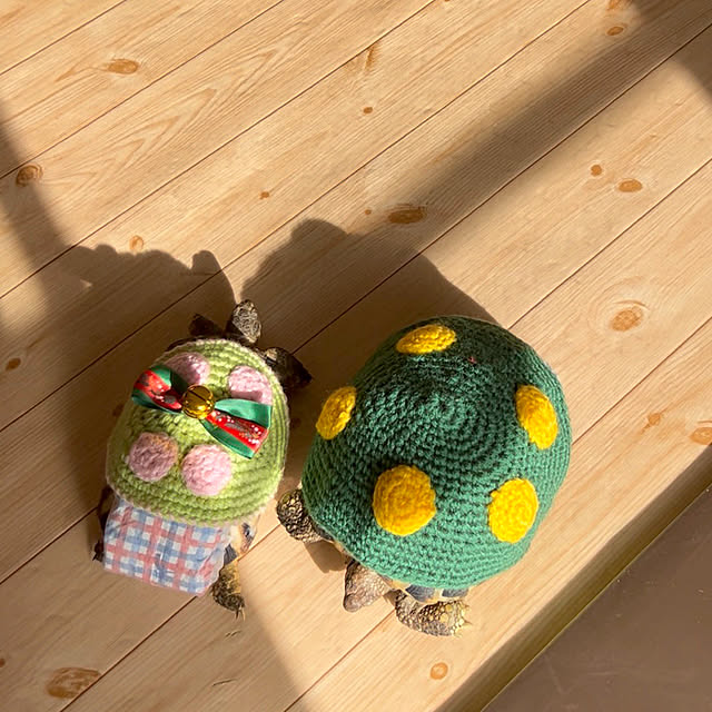 nee_roomさんの部屋