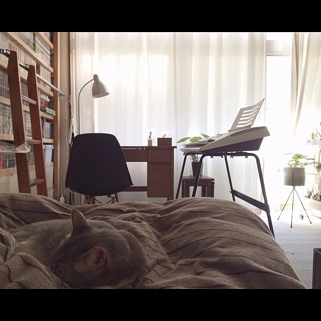 実例写真