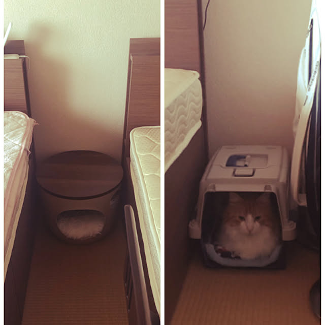 uchidaizuさんの実例写真