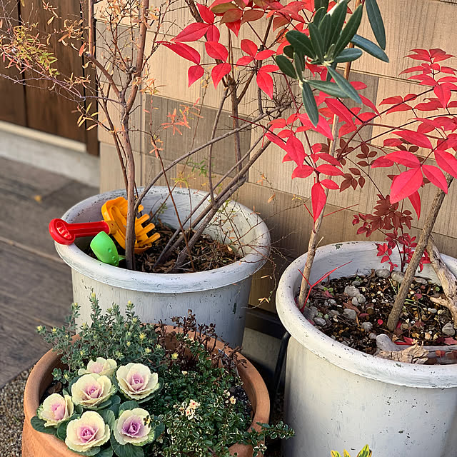 masakoさんの実例写真