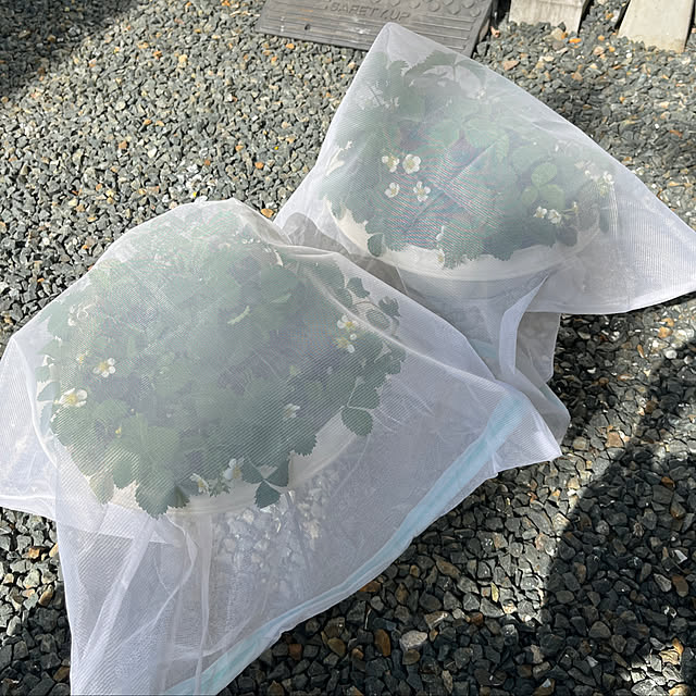 RAKI_Homeさんの実例写真